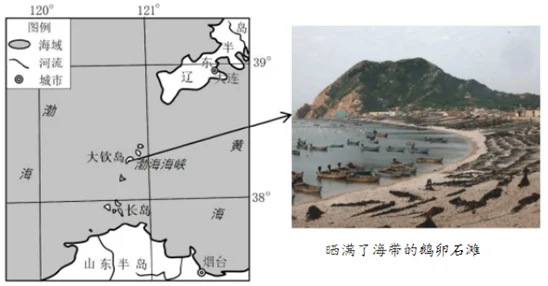 深度解析露玛岛太古之藉：使用方法与功能全面介绍说明