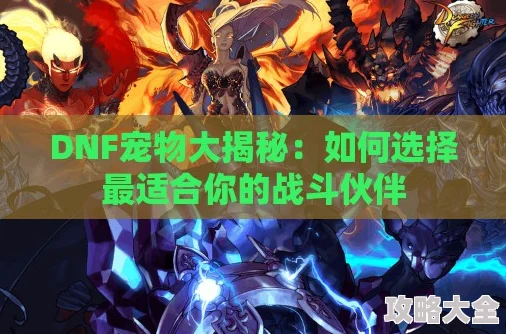 DNF散打职业宠物选择深度解析：哪款宠物最适合提升战斗力？