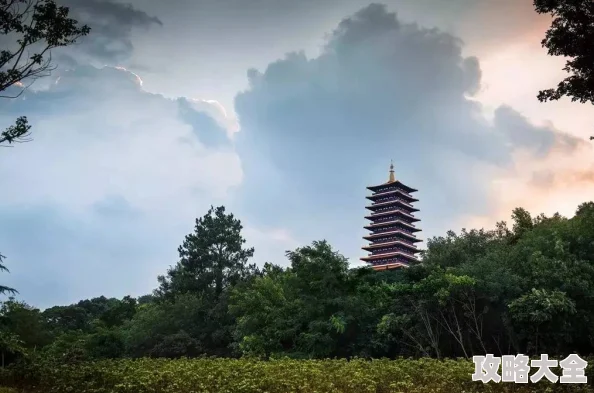 ＊关于旅游的